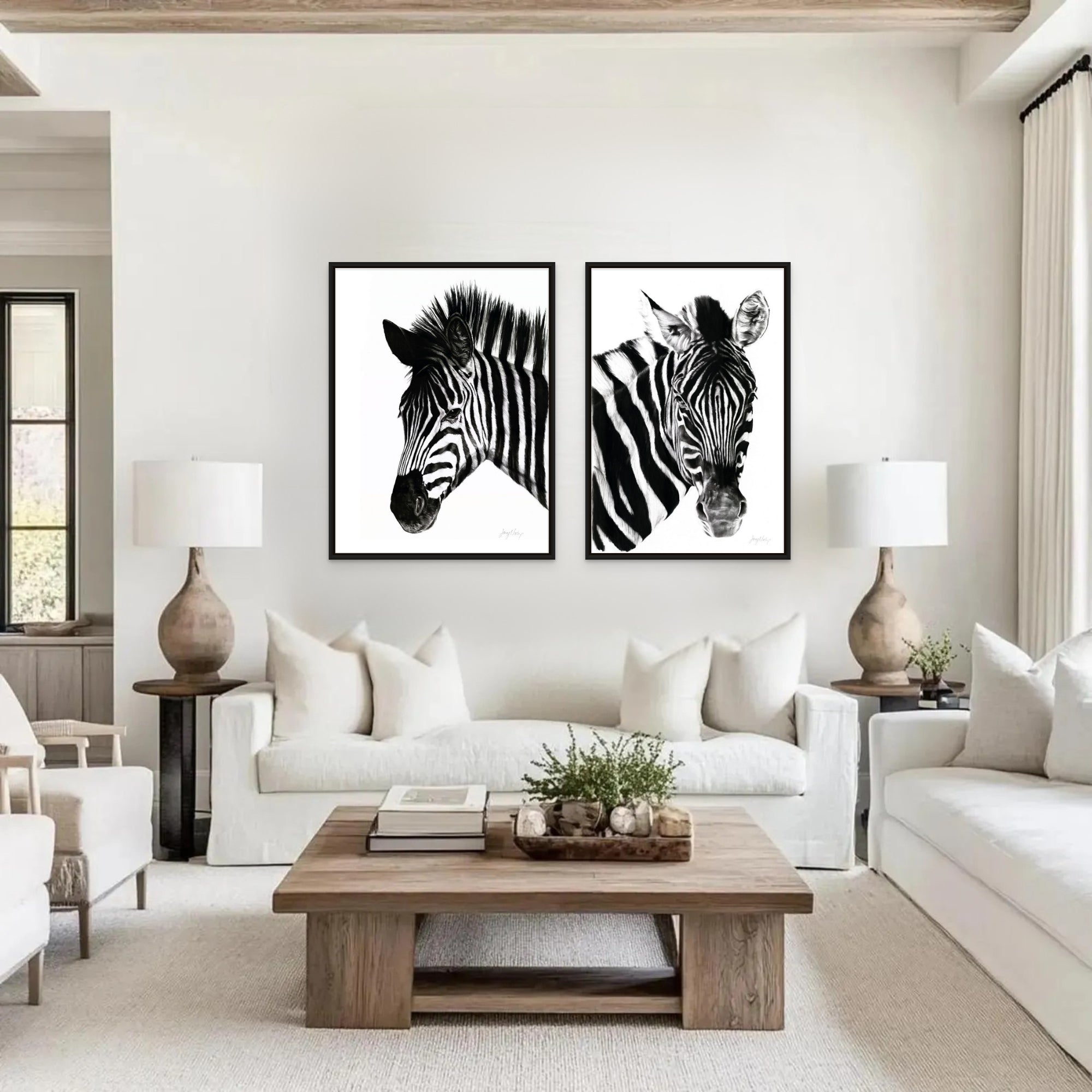 Zebra Series