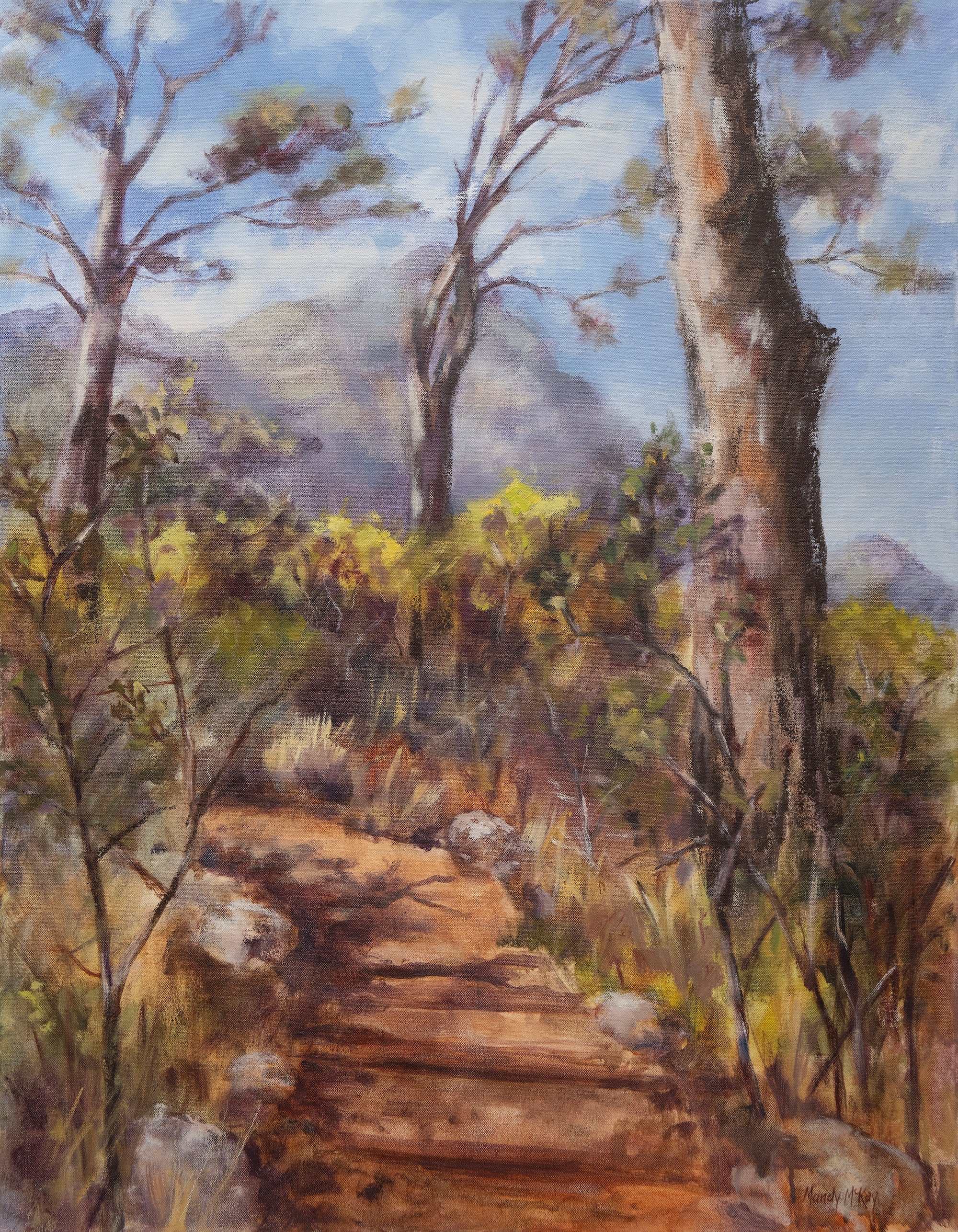 Old Stone Path & Pines In Kirstenbosch Print