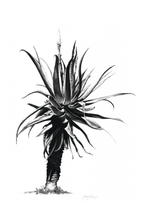Aloe Canvas Print | Botanical Wall Art | ruthanne collection