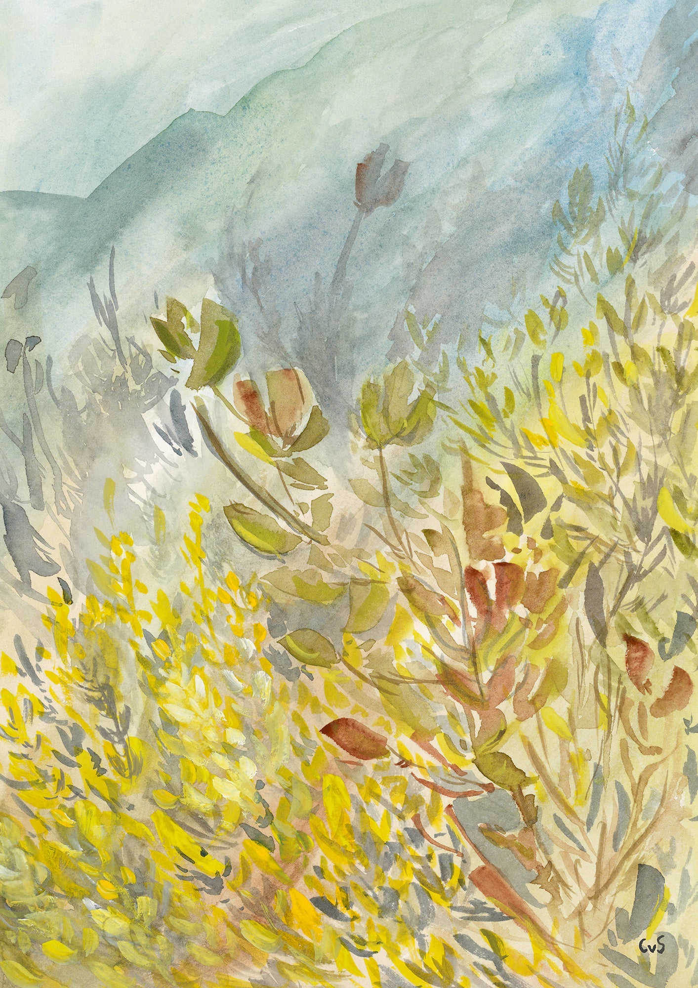 Abundance Print