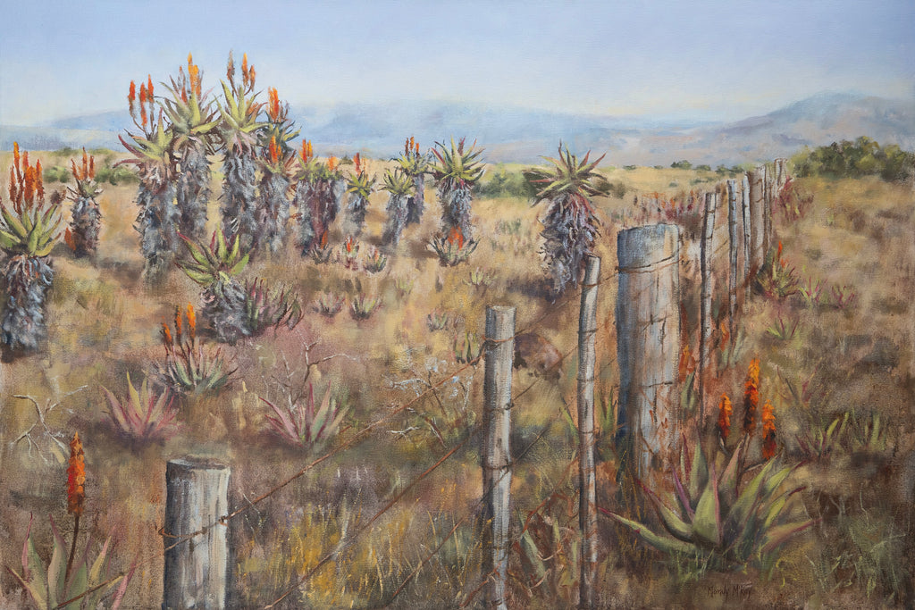 Aloes And Old Fence Print