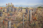 Aloes And Old Fence Print