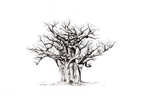 Baobab Canvas Print | African Landscape Art | Ruthanne Collection