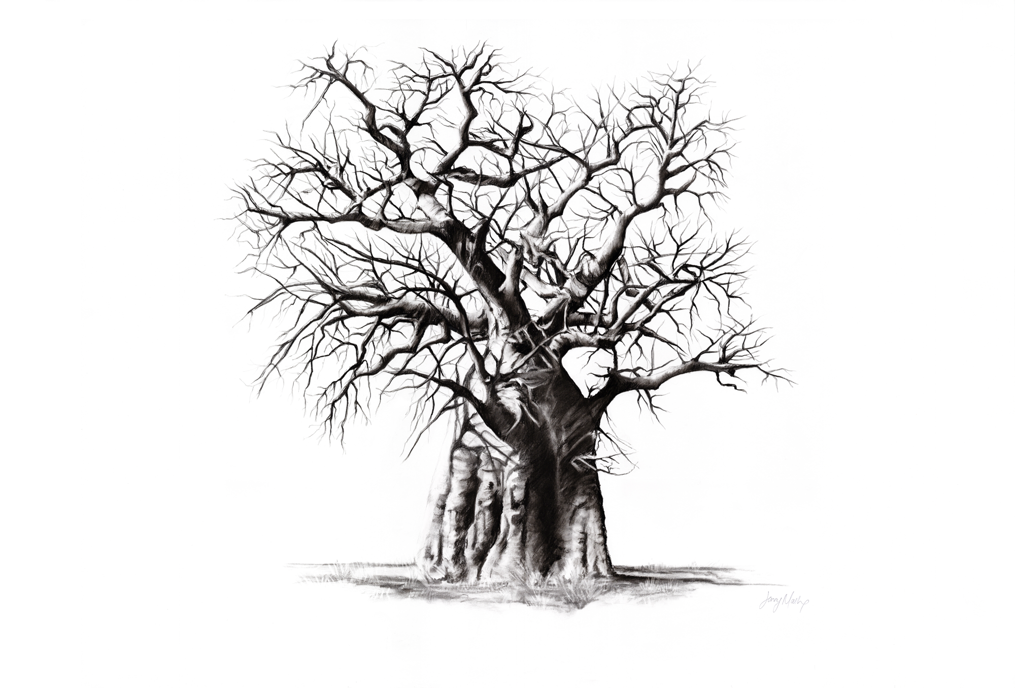 Baobab Canvas Print | African Landscape Art | Ruthanne Collection
