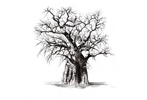 Baobab Canvas Print | African Landscape Art | Ruthanne Collection