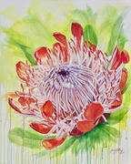Bursting Print - Ruthanne Collection