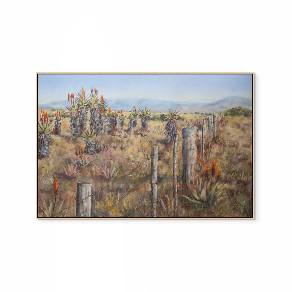 Aloes And Old Fence Print