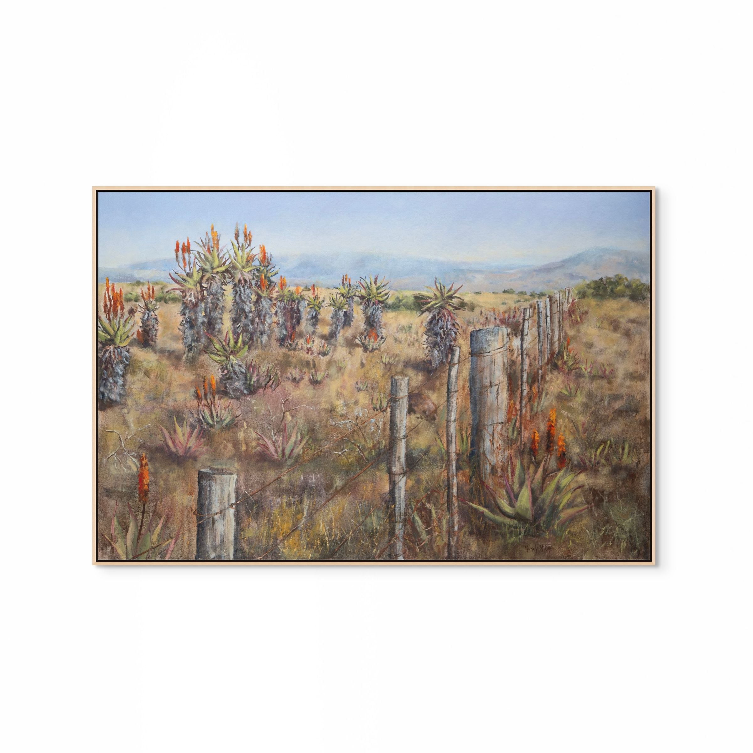 Aloes And Old Fence Print