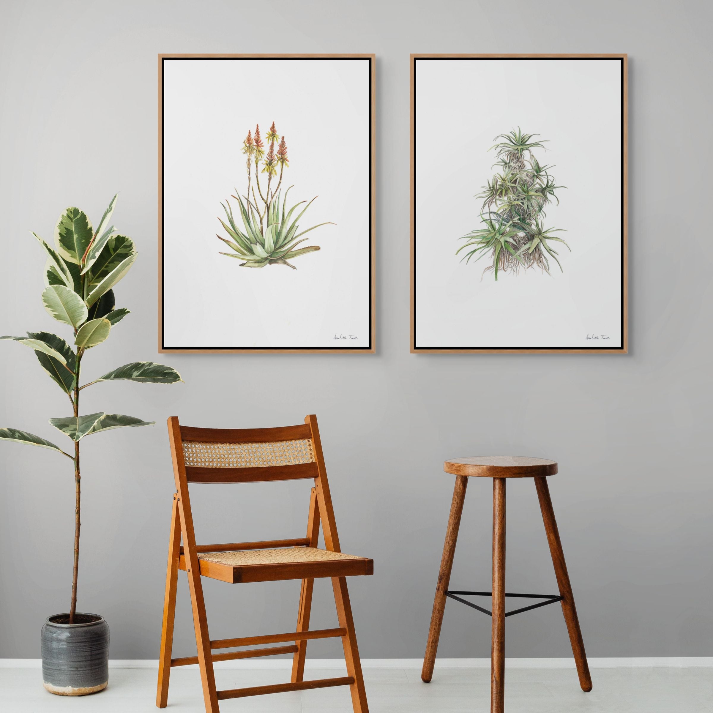 Tilt-Head Aloe Print