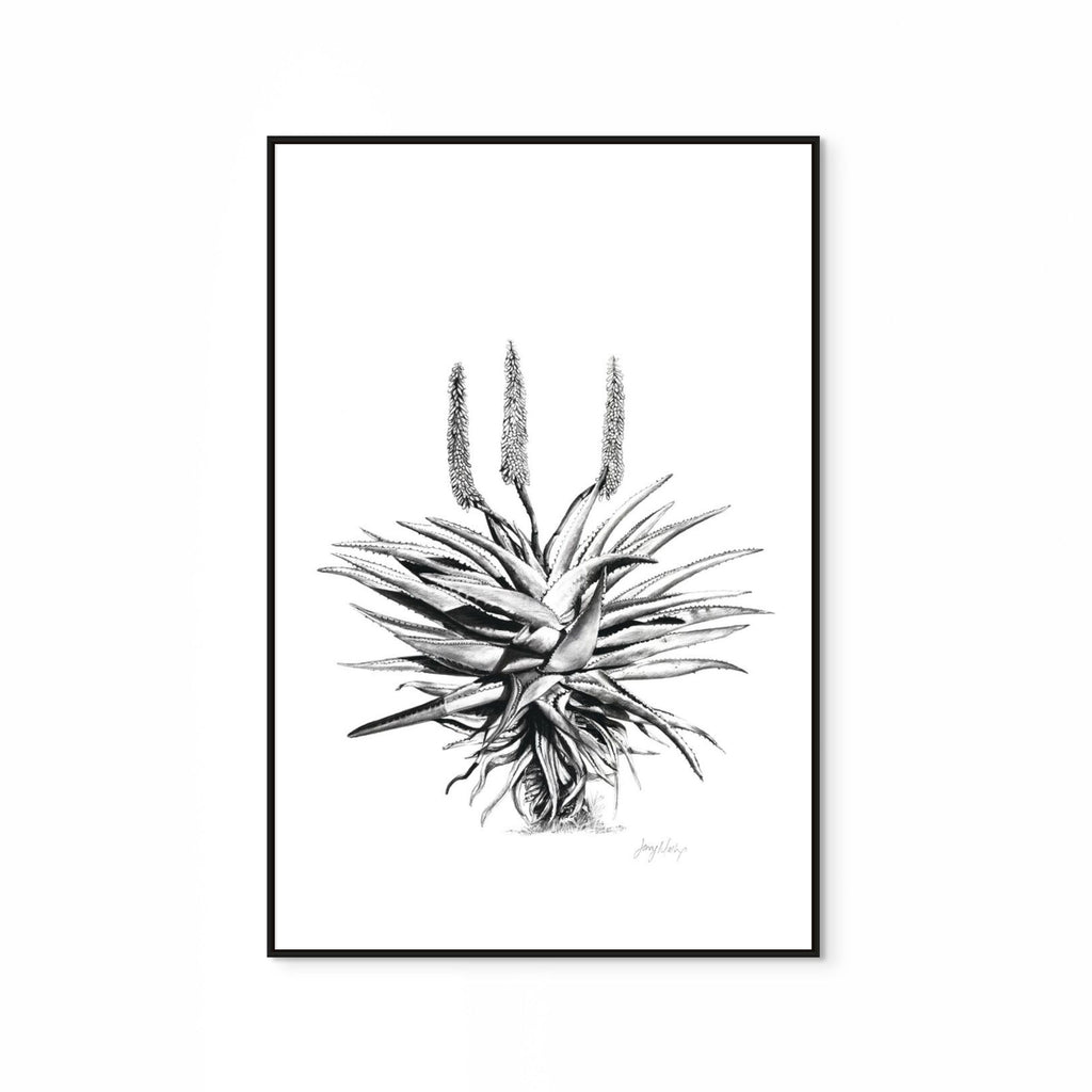 Aloe I Print