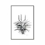Aloe I Print