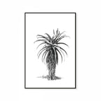 Aloe III Print