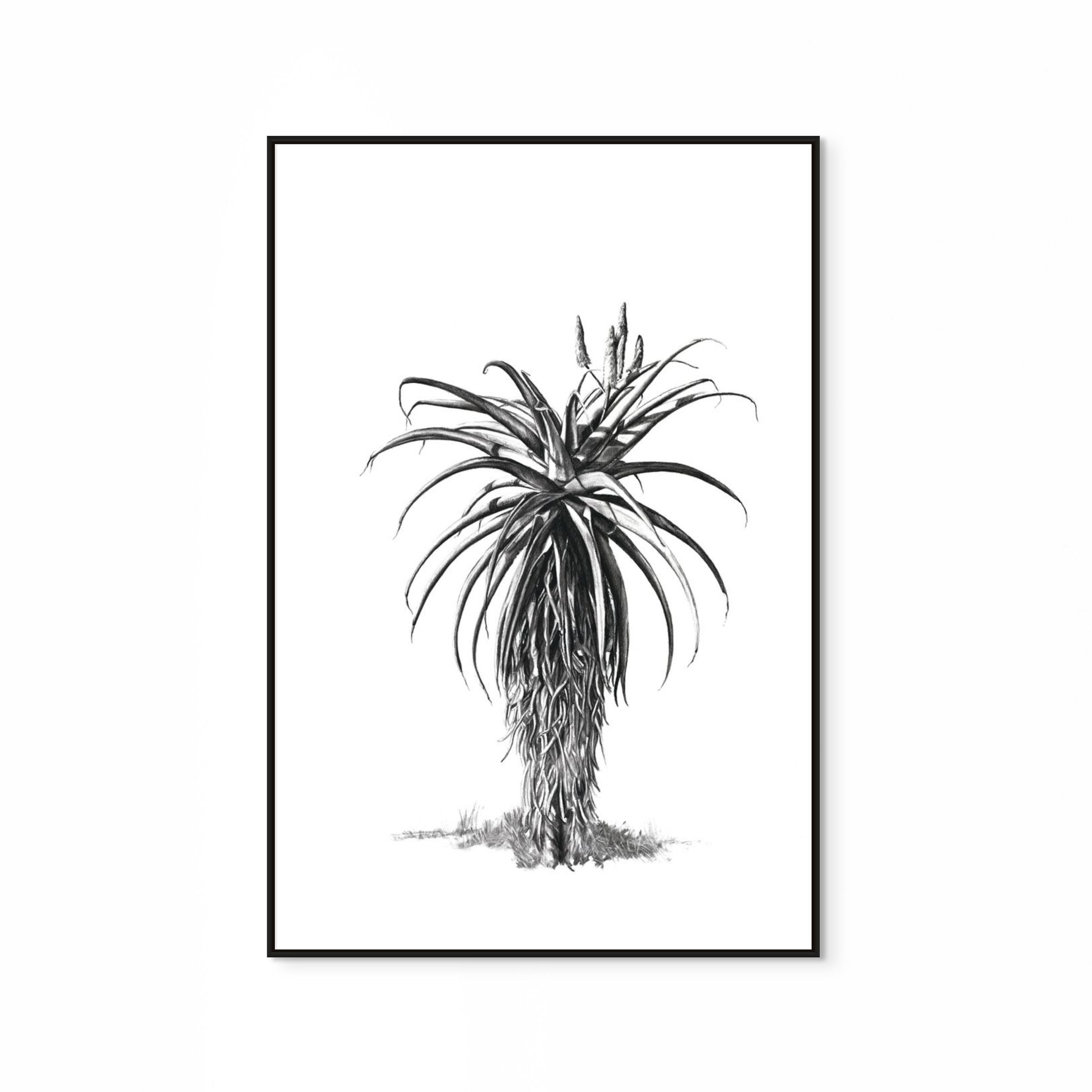 Aloe III Print