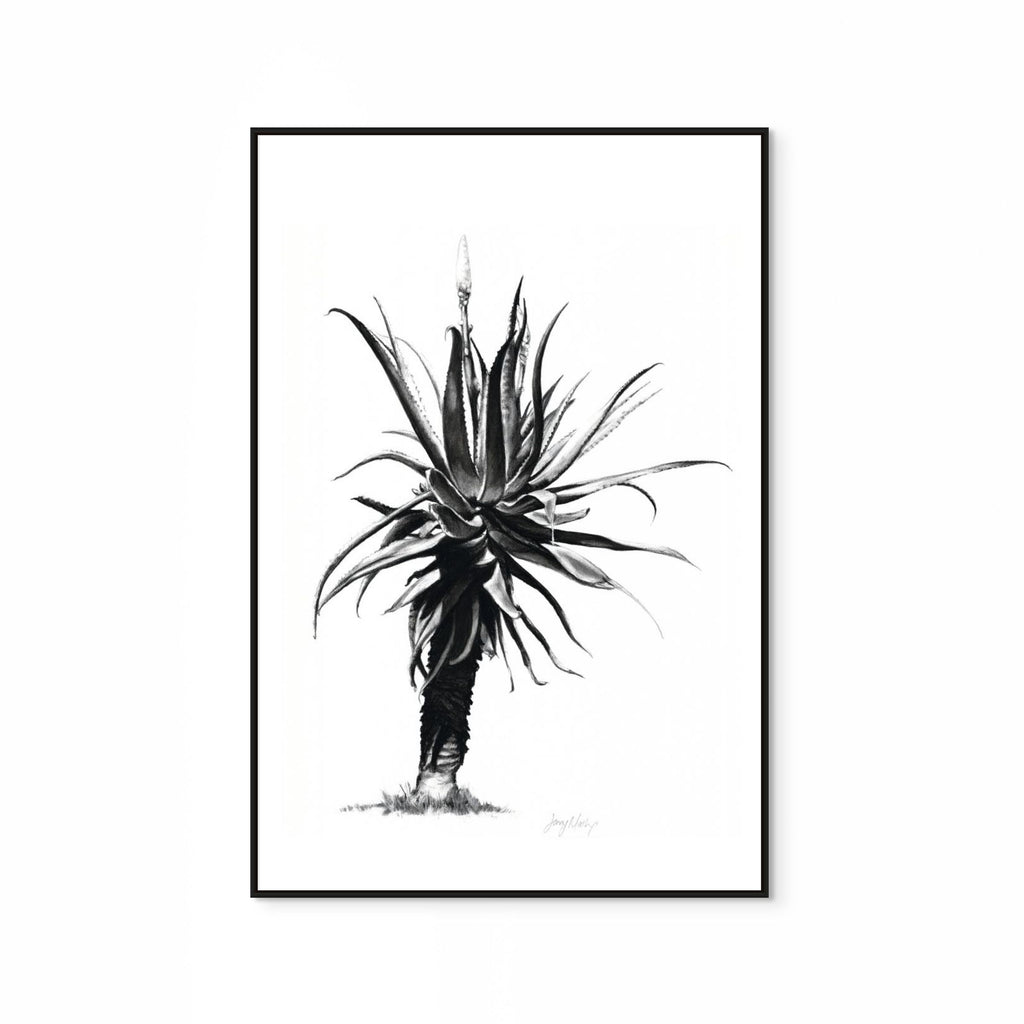 Aloe IV Print