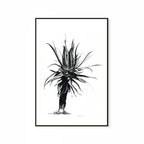 Aloe IV Print