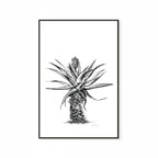 Aloe V Print