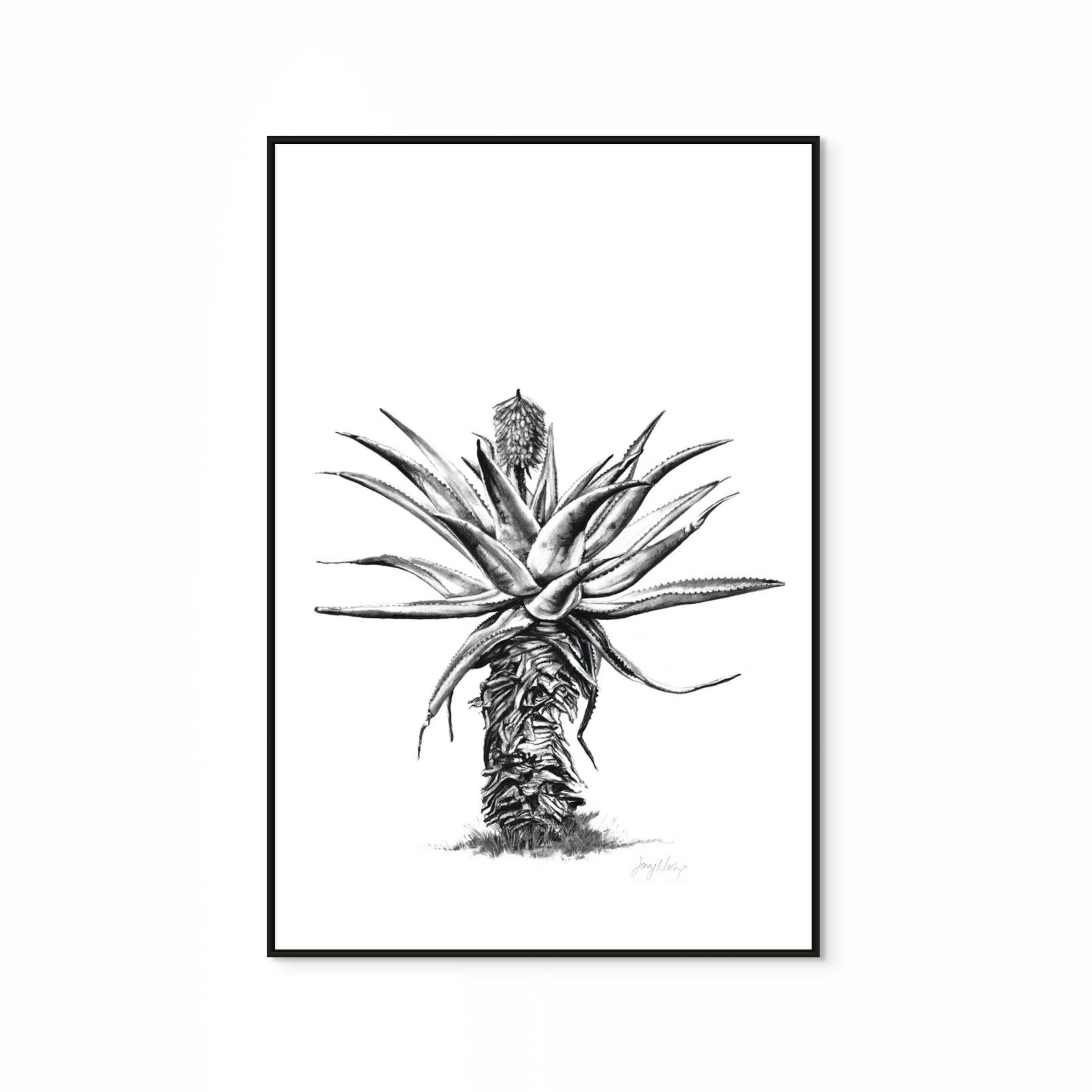 Aloe V Print