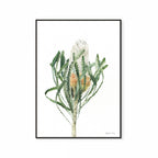 Banksia Print