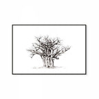 Baobab I Print
