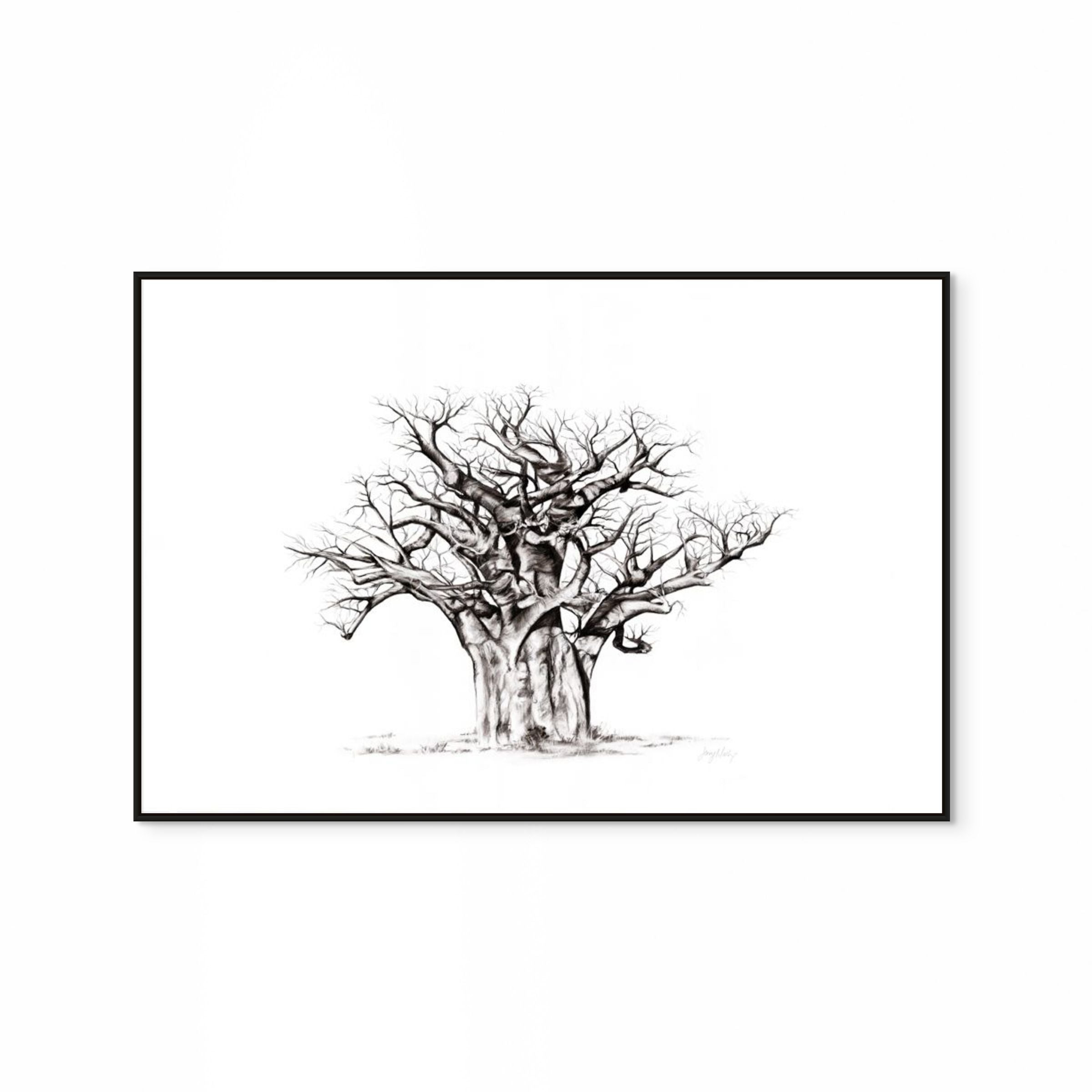 Baobab I Print