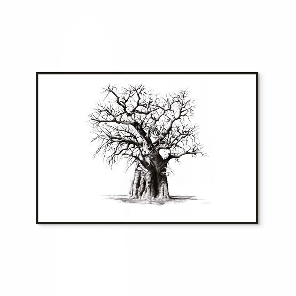 Baobab III Print