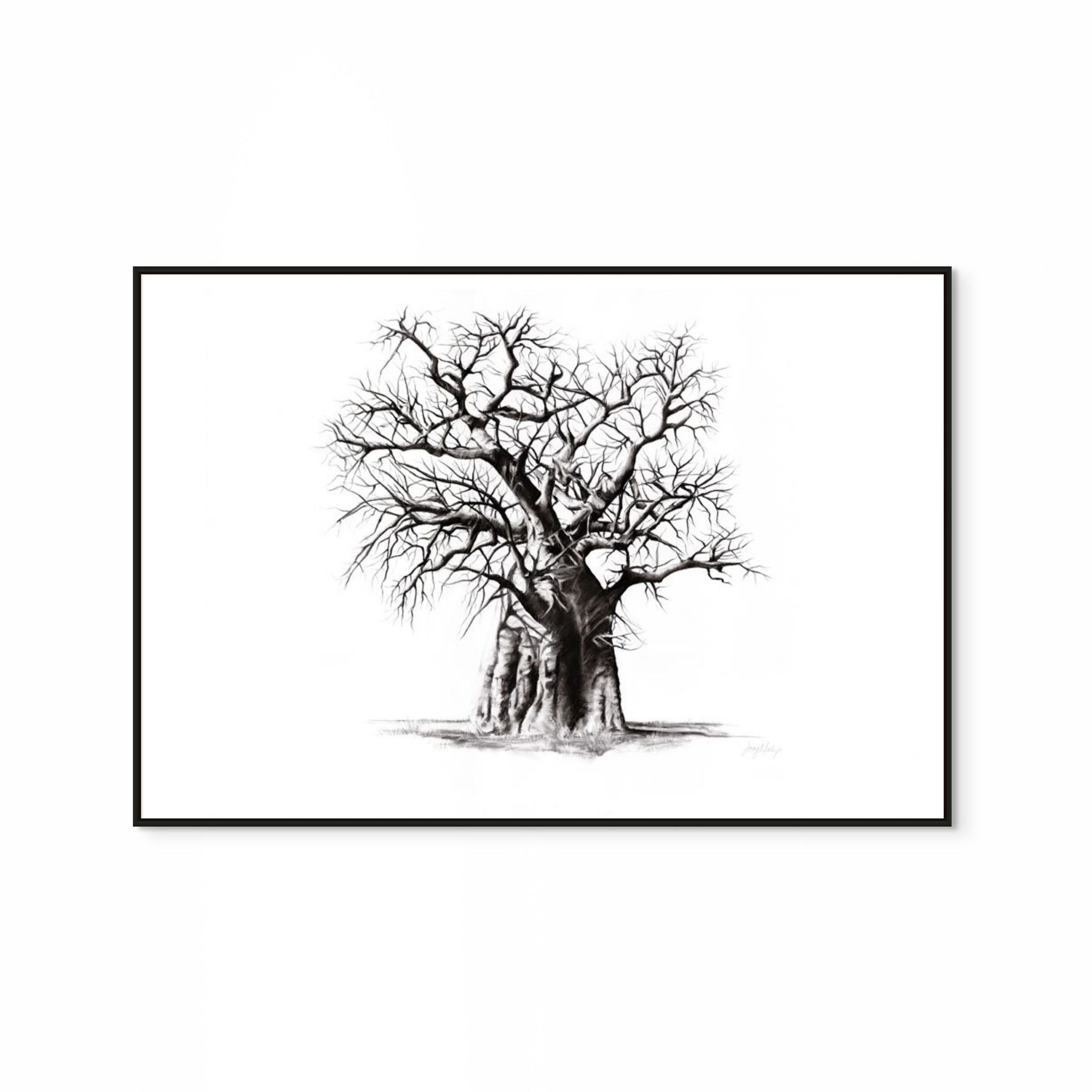 Baobab III Print