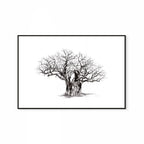 Baobab V Print