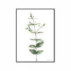 Eucalyptus Print