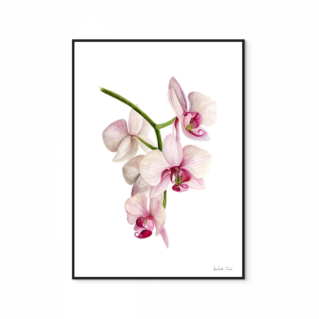 Flower Print