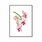 Flower Print