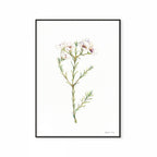 Geralton Wax Print