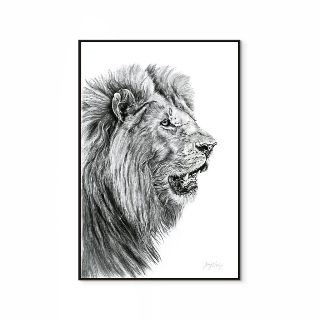Lion Print