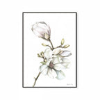 Magnolia Print