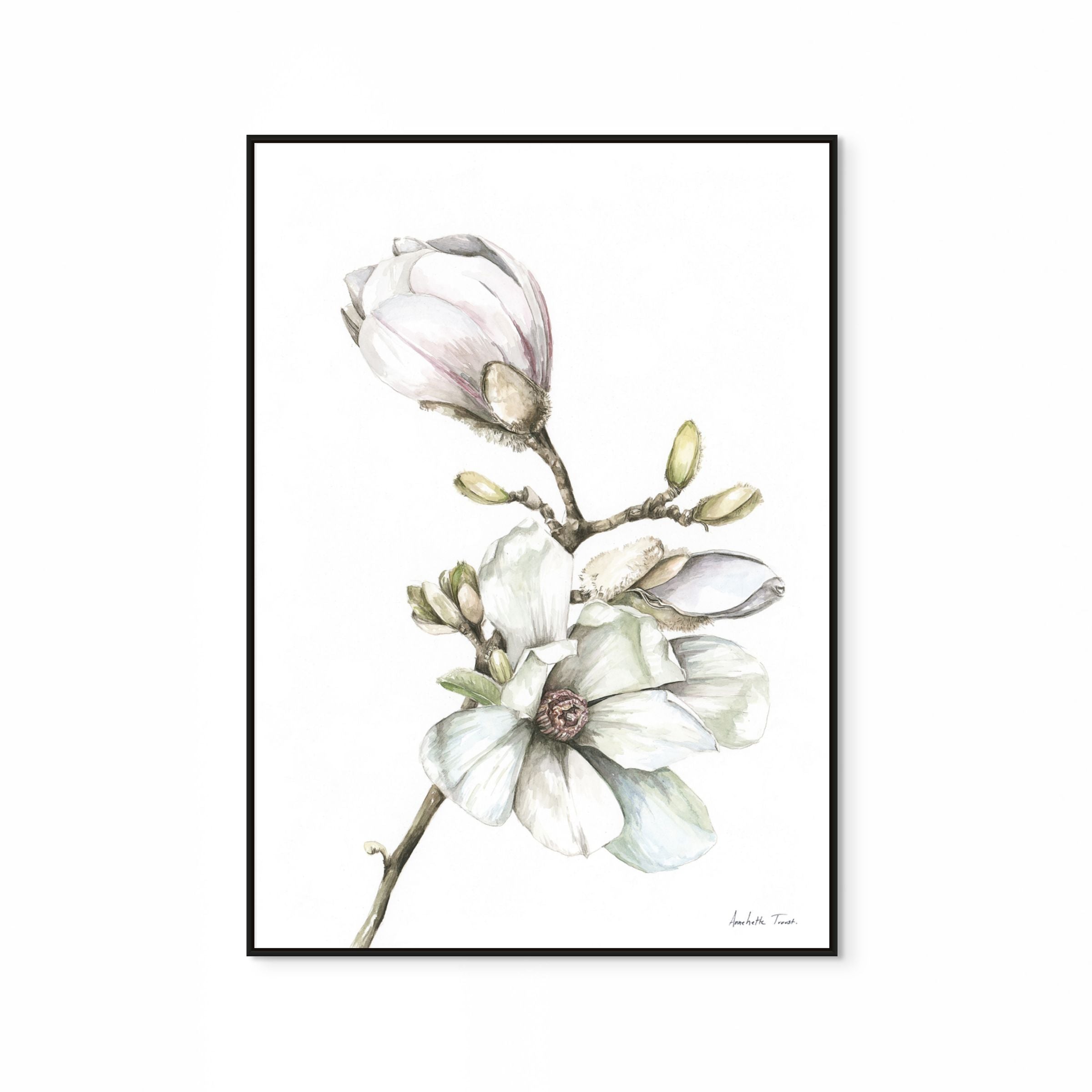 Magnolia Print