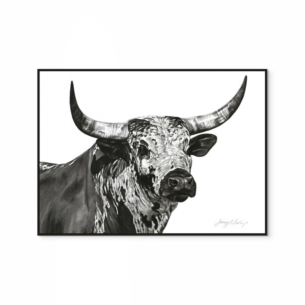 Nguni Bull Head (Landscape) Print