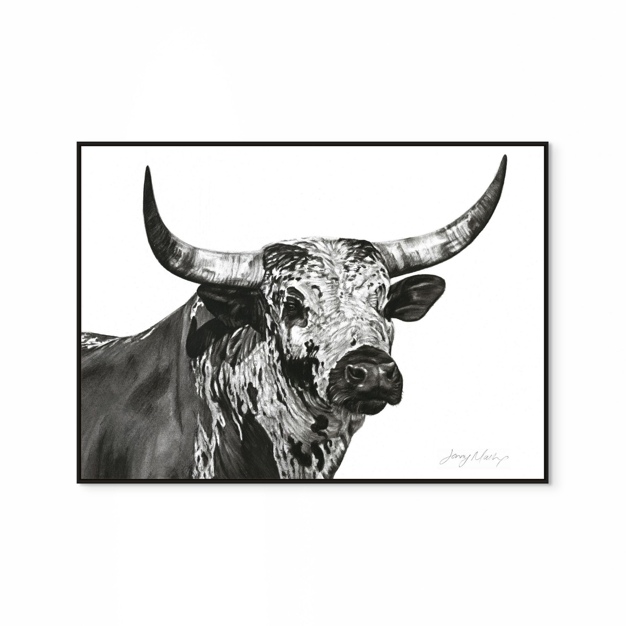 Nguni Bull Head (Landscape) Print