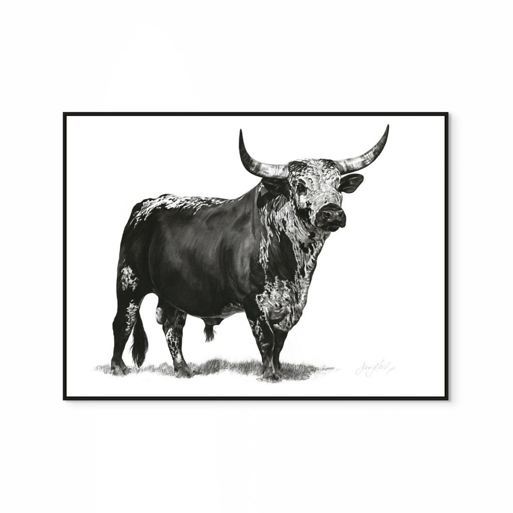 Nguni Bull Print