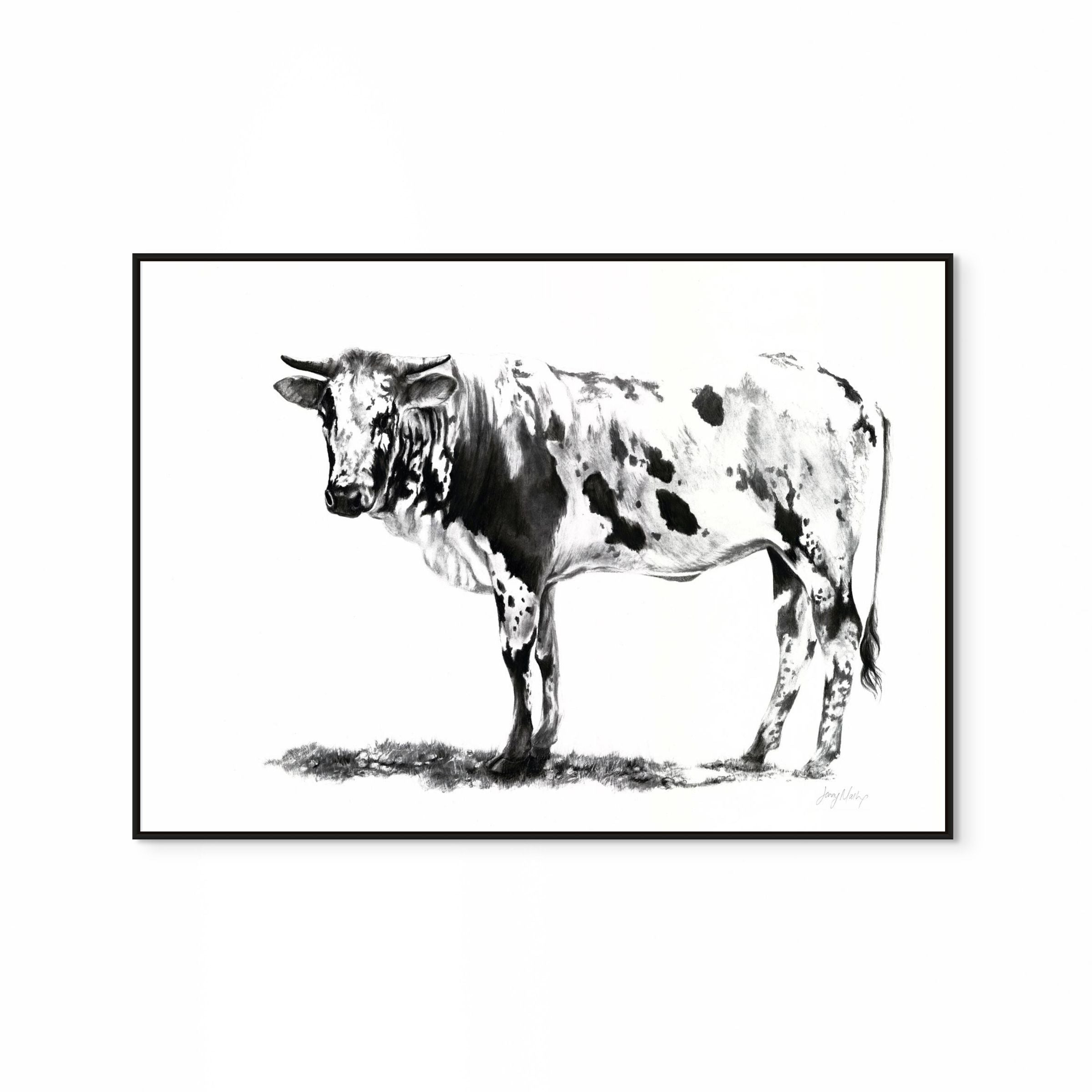 Nguni I Print