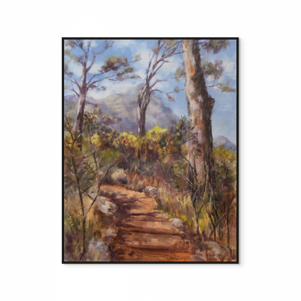 Old Stone Path & Pines In Kirstenbosch Print