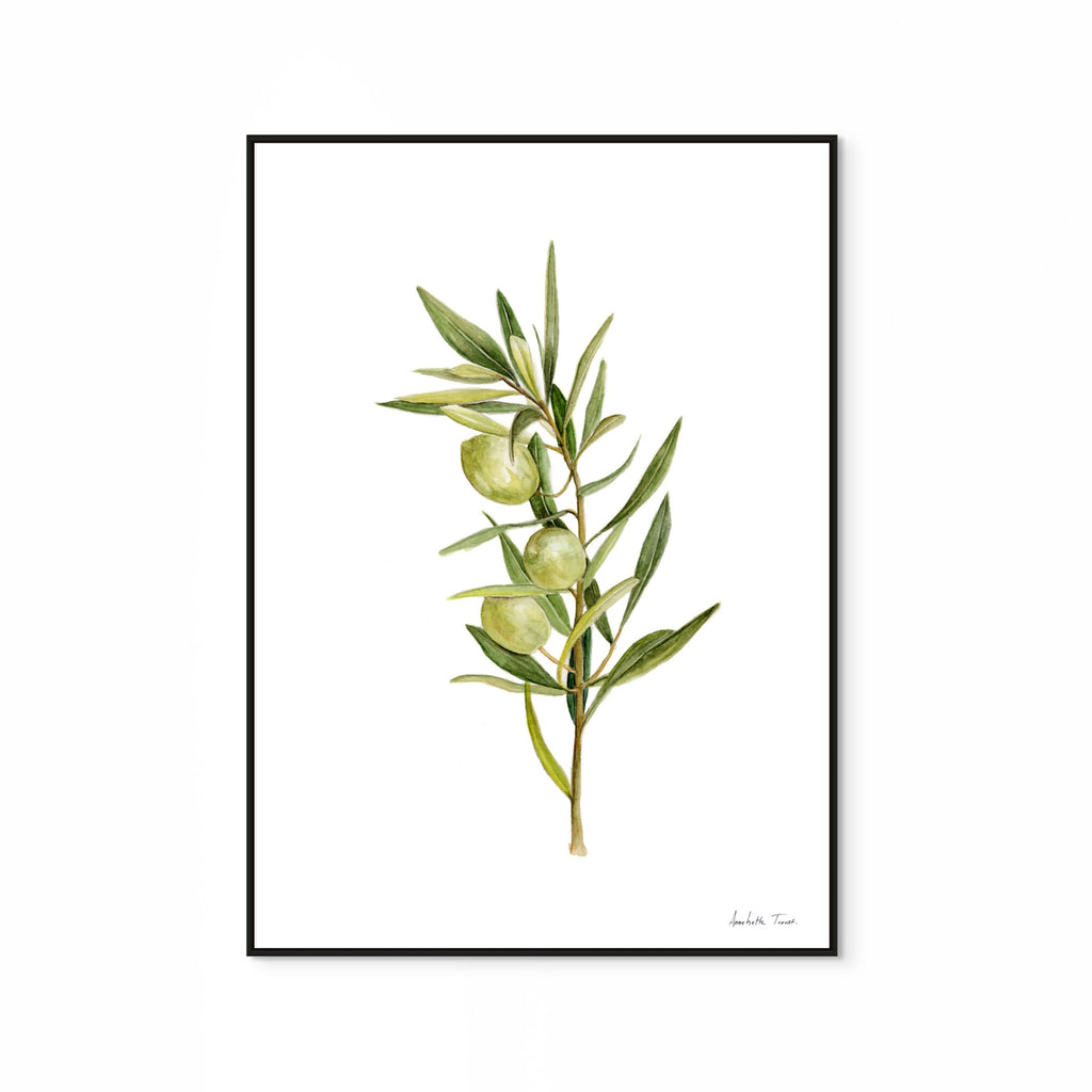 Olive Print