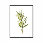 Olive Print