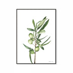 Olive Branch Print