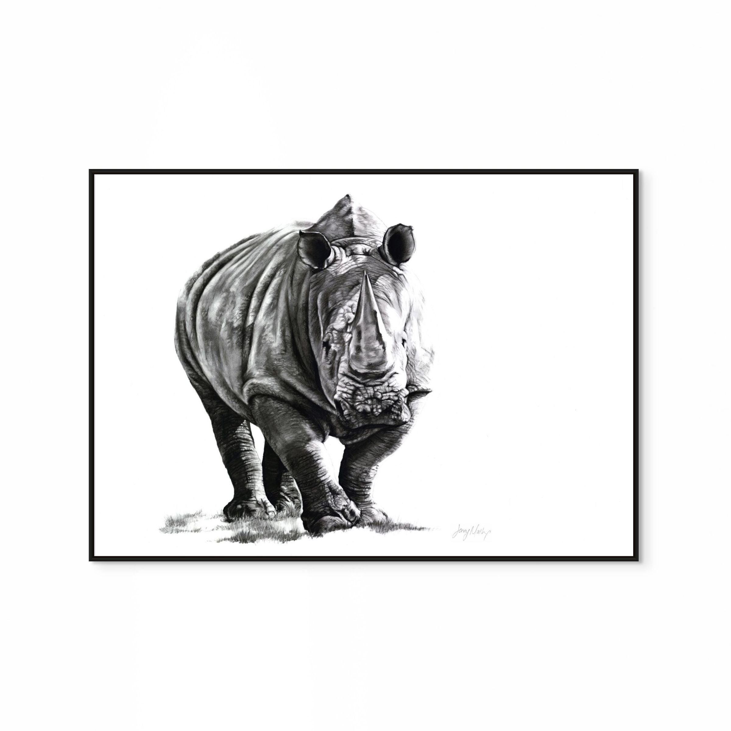 Rhino II Print
