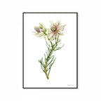 Surruria Florida Print