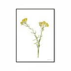 Wild Flower Print