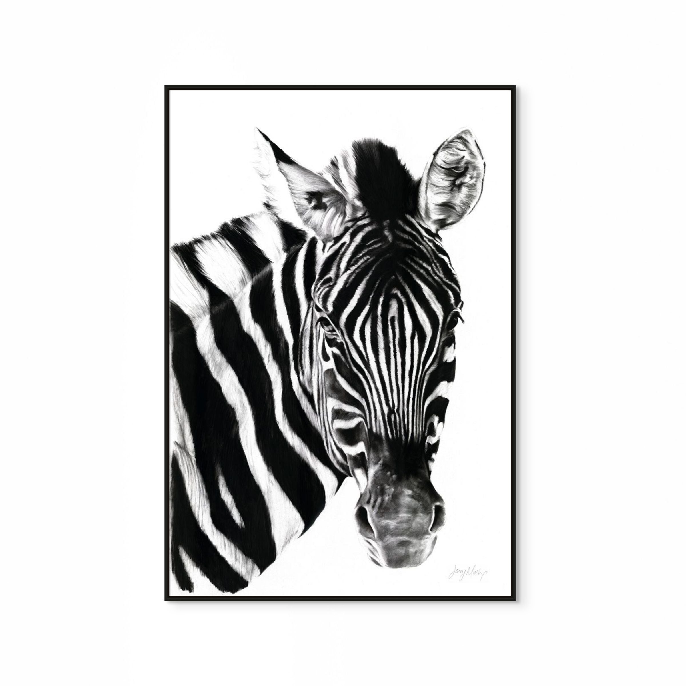 Zebra II Print