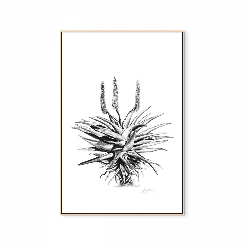 Aloe I Print