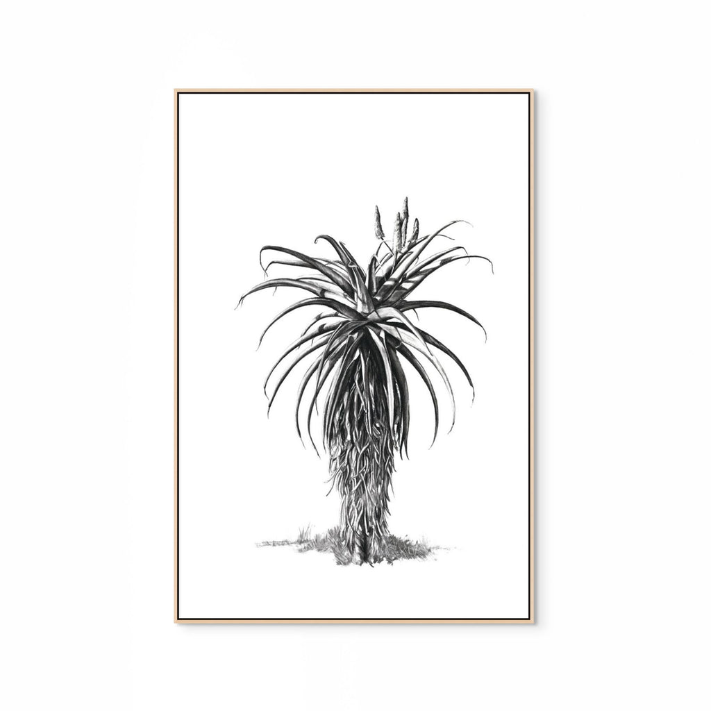 Aloe III Print