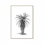 Aloe III Print