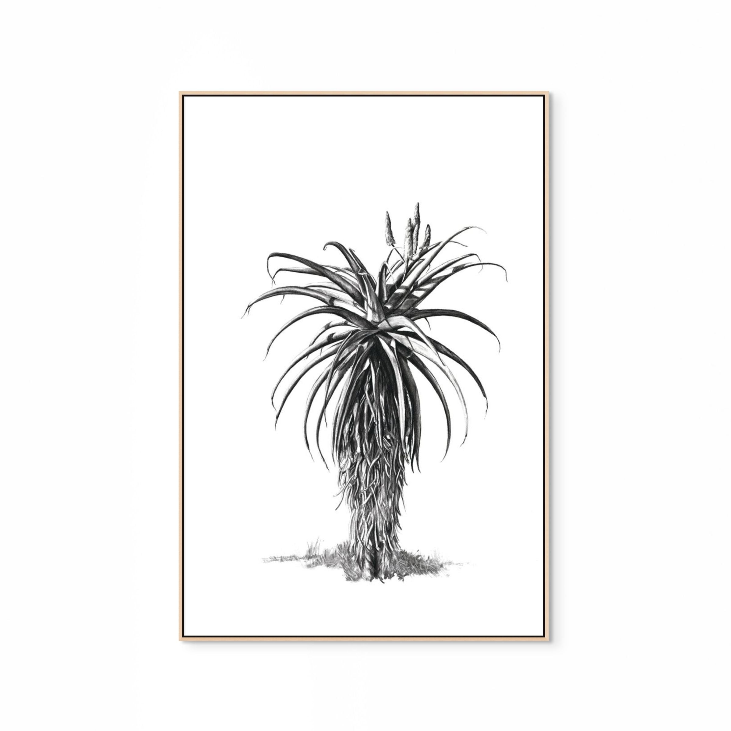 Aloe III Print